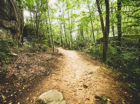 Explore the best rated trails in <strong>Cincinnati</strong>, OH, whether you're looking for an easy <strong>walking</strong> trail or a bike trail like the Great-Little Trail and Mad River Trail. . Walk path near me